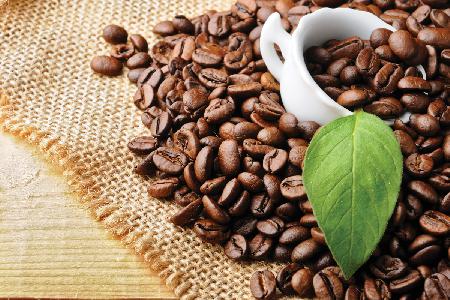 coffee-grains-britannique