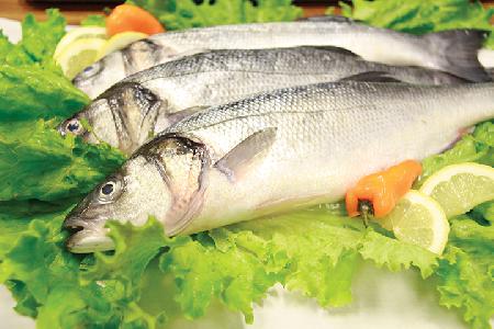 strip-bass-mediterranean
