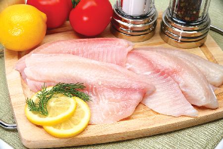 tilapia_11557864