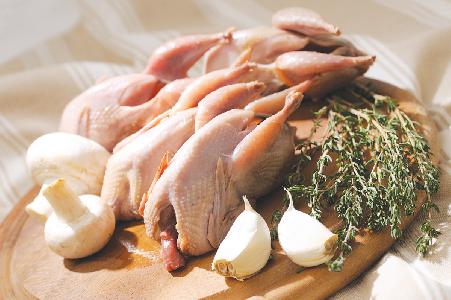 quails