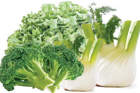 fenouille-rapini-Brocoli_montage