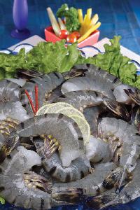 black-tiger-shrimps