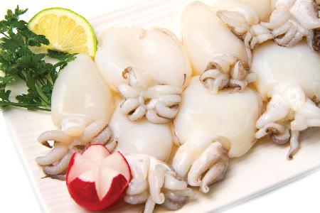 cuttlefish-cleaned