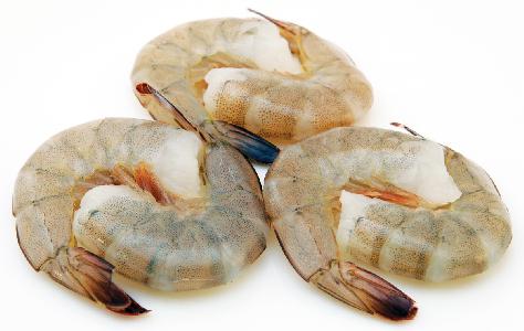 fresh-shrimps_1475258