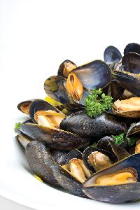 mussels-moules-cultivated
