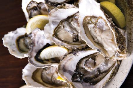 oysters_100989976