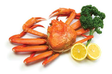 snow-crab_103840403
