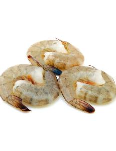 white-shrimps_1475258