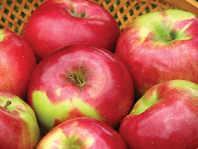 apples_62244289