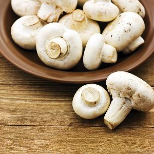 champignons_58822168-1
