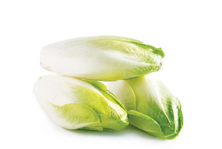 endives-green