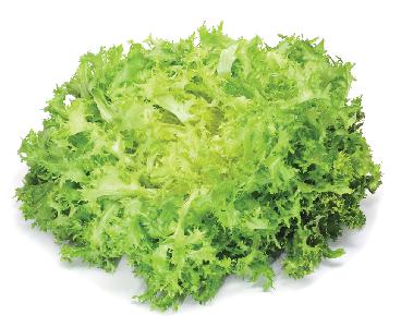 escarole_81620707