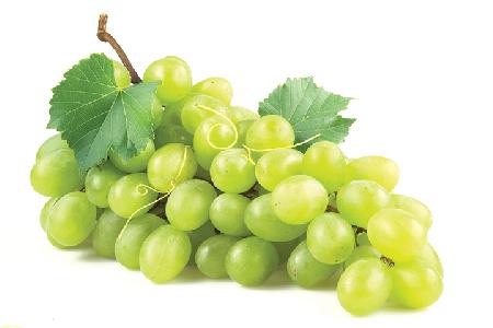 greengrape_77373001