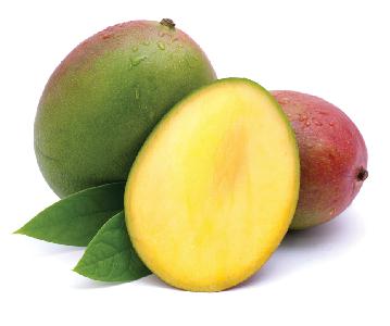 mango_94518256