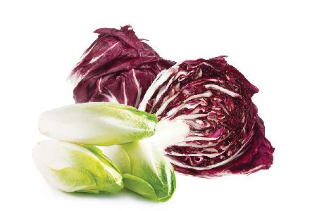 montage-endives-radicchio