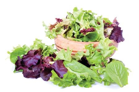 spring-salad-2