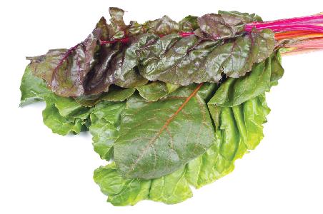 swiss-chard-green-red_89538142
